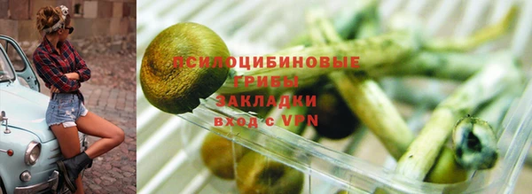 гидра Баксан