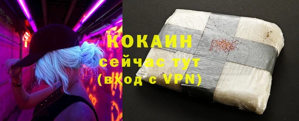 прущие грибы Няндома