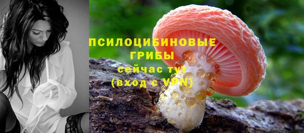 ПСИЛОЦИБИНОВЫЕ ГРИБЫ Нягань