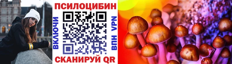 Псилоцибиновые грибы Psilocybine cubensis  сколько стоит  Корсаков 
